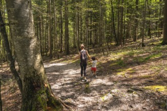 Mother and son enjoying a hike through the picturesque forest trail of logarska dolina valley in