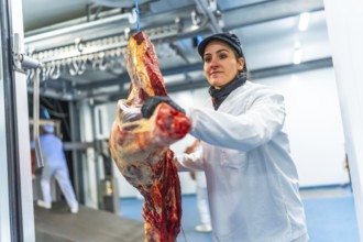Caucasian adult woman unloading and carrying meat from truck to storage room in the factory