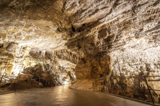 Pathway winding through illuminated postojna cave, showcasing breathtaking stalactites and