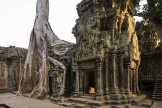 Ta Prohm, Angkor Wat, Angkor, UNESCO World Heritage Site, Siem Reap, Cambodia, Indochina, Southeast