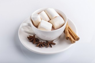 A cup of hot chocolate with marshmallow and cinnamon, isolated on white, closeup