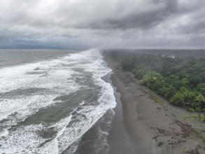 Aerial view, beach and sea, coast with rainforest, Tortuguero National Park, Costa Rica, Central