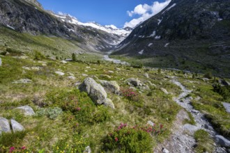 Hiking trail in picturesque mountain landscape, behind mountain peak with snow and glacier