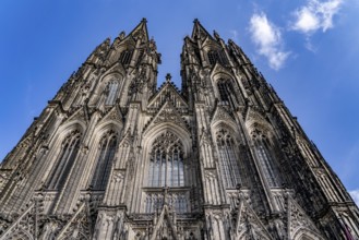 Cologne Cathedral, view of the west façade, on the north tower one of the rare occasions without