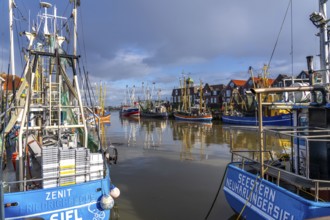 Cutter harbour Neuharlingersiel, shrimp cutter, East Frisia, Lower Saxony, Germany, Europe