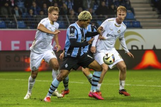Football 3rd division, season 2024/25, matchday 12: Waldhof Mannheim vs SV Wehen-Wiesbaden. On the