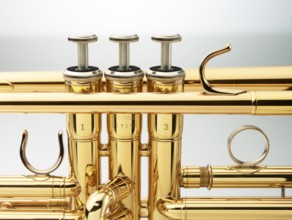 Trumpet in front of white background, detail, studio shot