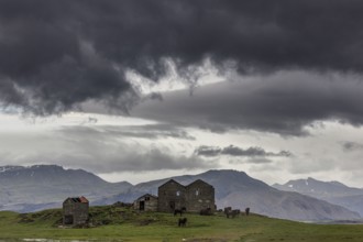Dark clouds, abandoned building, crumbling farm, Icelandic horses, Höfn, Iceland, Europe