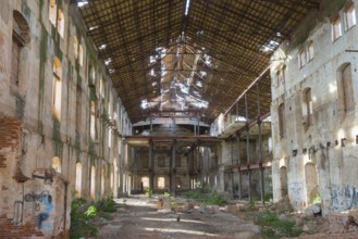 Abandoned industrial building with a large curved roof through which daylight falls, partially