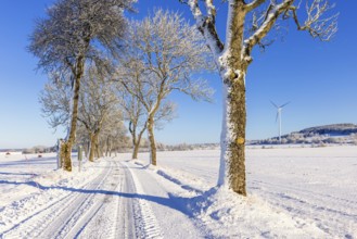 Tree lined snowy winter road and a wind turbine on a field in a beautiful winter rural landscape,