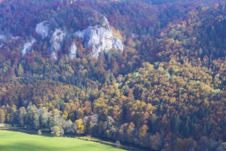 Upper Danube nature park Park, Swabian Alb, Baden-Württemberg, Germany, Europe