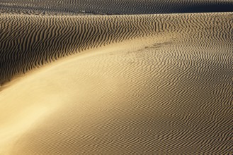 Maspalomas Dunes nature reserve, sand dunes in the evening light, Las Palmas province, Gran