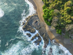 Aerial view, top-down, rainforest, sandy beach and coast with waves, Playa Cocalito, Puntarenas,
