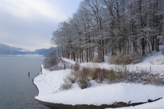 Winter landscape at the Hennesee, Hennetalsperre, Naturpark Sauerland-Rothaargebirge, Meschede,
