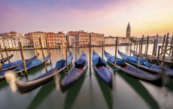 Venetian gondolas, boat dock at the customs office on the Grand Canal, Gondola Traghetto Dogana,