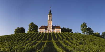 Vineyards, Birnau pilgrimage church, baroque church, exterior view, Uhldingen-Mühlhofen on Lake