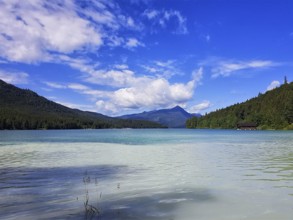 A clear lake with surrounding mountains and wooded slopes under a blue sky with white clouds,