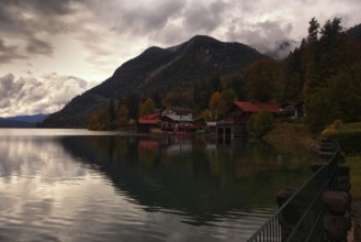 Autumnal lake landscape with houses and mountains in the background under a cloudy sky, Walchensee,