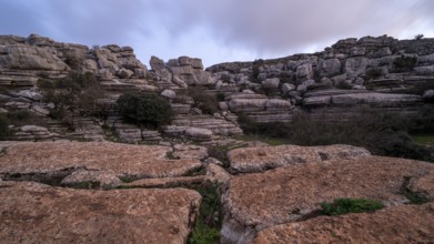 Bizarre limestone rock formations, El Torcal nature reserve, Torcal de Antequera, Malaga province,