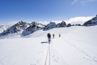 Ski tourer with rope, rope team on the Vadret da Porchabella glacier on the ascent to the summit of
