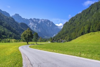 Winding road meandering through the picturesque logarska dolina valley, surrounded by lush meadows