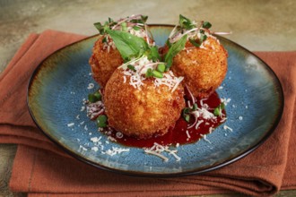 Crispy Arancini appetizer, with parmesan cheese and microgreens, plate, tomato sauce, homemade, no