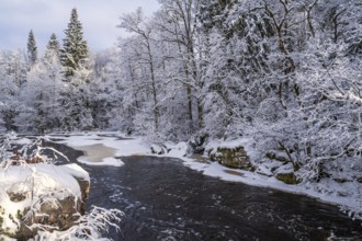 River running water in a winter forest with snow and ice a cold winter day. Sweden