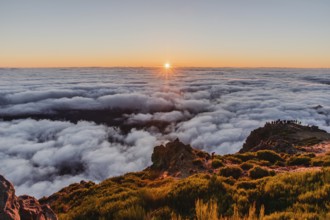 View over a sea of clouds at sunrise from a mountain peak with a calm and charming atmosphere, Pico