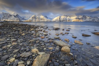 Stones, coast, snow-covered mountains, fjord, morning light, clouds, snow, Lyngen Alps, Norway,