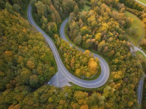 Serpentine road runs through dense, colourful autumn forest, Switzerland, Europe