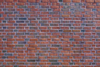 Detailed view of a brick wall with red and brown bricks forming a regular pattern, Bergen,