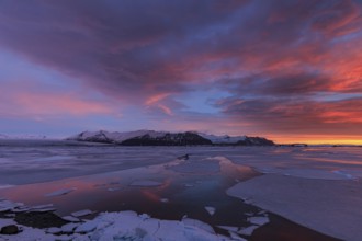 Dawn over frozen lake and mountains, winter, Jökulsarlon, Vatnajökull, Iceland, Europe