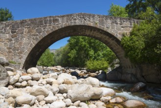 An old stone bridge spans a shallow river, surrounded by stones and trees under a clear sunny sky,