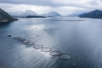 Aerial view of a salmon farm, rainy weather, grey sky, village Myre in the back, Vesteralen