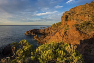 Cap du Dramont, sunrise, Massif de l'Esterel, Esterel Mountains, Département Var, Région