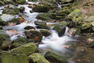 Moving water flows over moss-covered rocks in a forest, White Oppa, Bílá Opava, Bila Opava, near