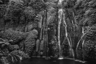 Banyumala twin waterfalls, waterfall, jungle, rainforest, water, nature, botany, holiday, paradise,