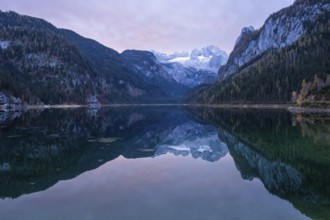 The Vordere Gosausee lake in autumn with a view of the Dachstein mountain range. The Gosaukamm on