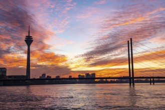 Winter sunset on the Rhine near Düsseldorf, Rhine Tower, cargo ship, Rhine knee bridge, North