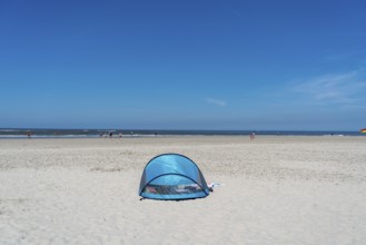 North Sea island Langeoog, early summer, beach shell, Lower Saxony, Germany, Europe