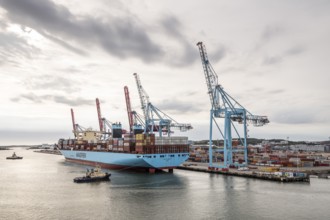 Container ship Mette Maersk, Maersk Line, loading cranes, harbour, Gothenburg, Sweden, Europe