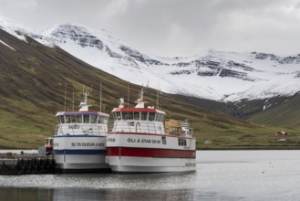 Fishing boats in the harbour, Siglufjörður, Norðurland eystra, Iceland, Europe