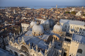 View over the roofs of Venice with St Mark's Basilica and Doge's Palace in the evening light, view