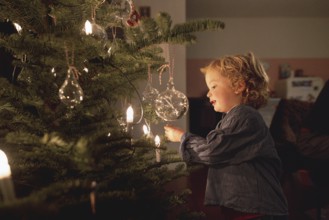 Toddler at the Christmas tree at the family Christmas party, Bonn, 24.12.2023. Toddler at the
