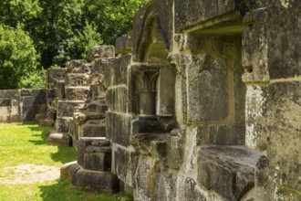 Walkenried Abbey is a former Cistercian abbey in Walkenried, situated on the southern edge of the