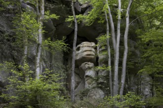 Sandstone rock formation in Berdorf, Little Switzerland / Mullerthal, Grand Duchy of Luxembourg