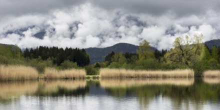 Rain clouds over the Hopfensee, Hopfen am See, near Füssen, Ostallgäu, Allgäu, Bavaria, Germany,