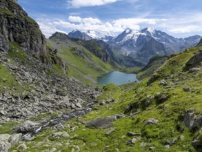 Mountain stream and mountain lake Lac de Louvie with glaciated summit of the Grand Combin, Val de