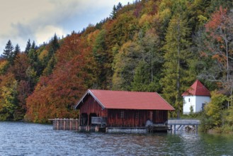 A wooden hut with a red roof lies on the lakeshore, surrounded by autumn-coloured trees,