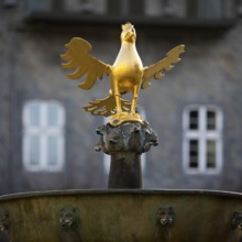 Gilded imperial eagle as a fountain eagle on the market fountain, Old Town, Goslar, UNESCO World